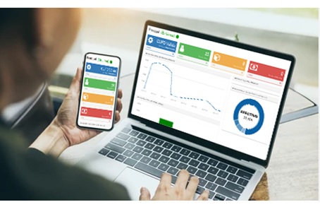 Instalación Local o Uso En Línea